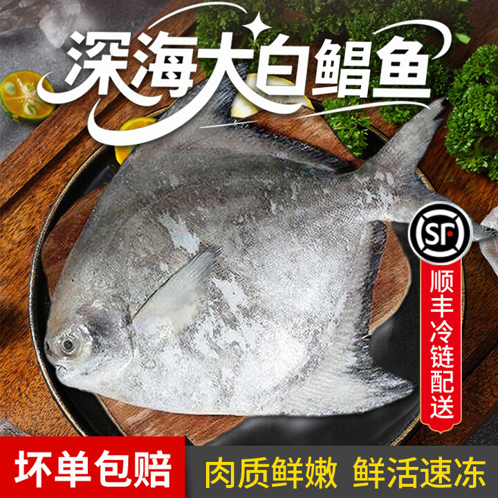 大白鲳深海新鲜速冻大白仓斗鲳鱼大特大白鲳海鲜水产乌鲳银鲳鱼 2斤装大鲳鱼(2条鱼)【图片 价格 品牌 报价】-京东