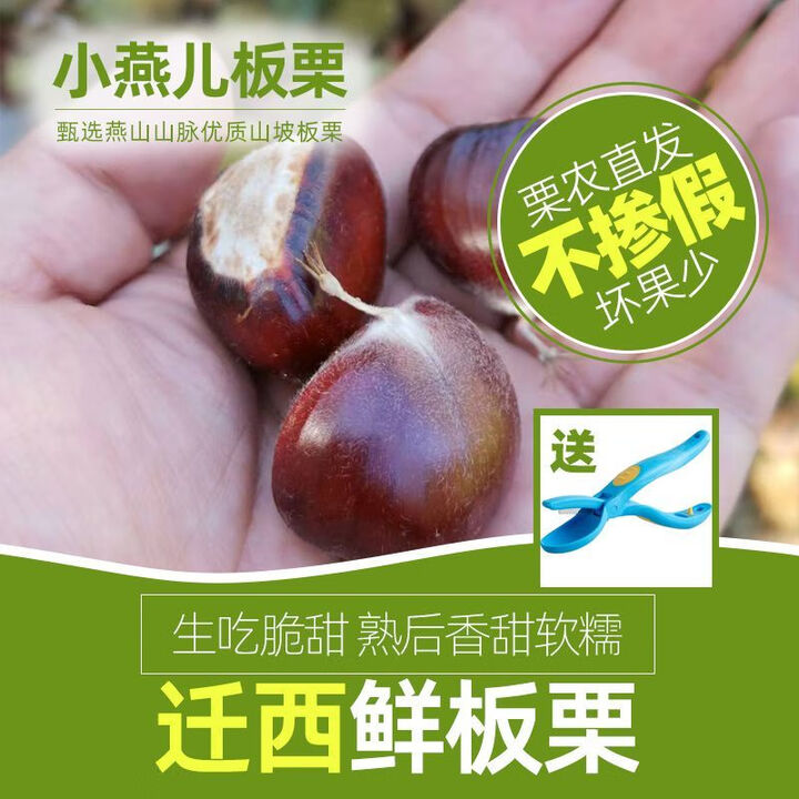 25年迁西新板栗生新鲜栗子燕山山脉优质板栗5斤装 早期栗子313(一斤55粒左右)4斤+ 313斤【图片 价格 品牌 报价】-京东