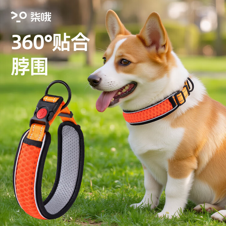 狗狗项圈脖套遛狗链颈圈大小中型犬遛狗绳子牵引绳宠物狗圈 橙色项圈 XS【脖围28-30cm 建议4-12斤】【图片 价格 品牌 报价】-京东