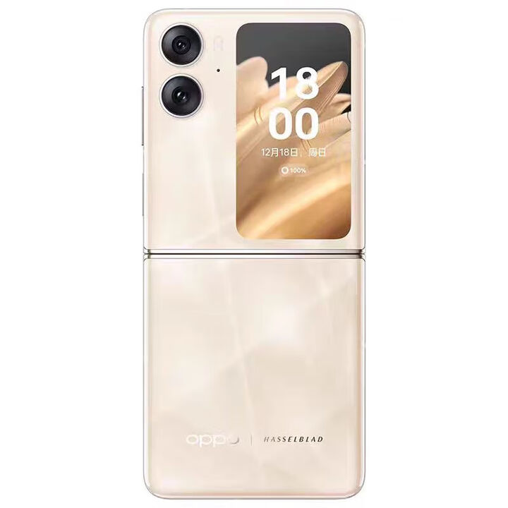 OPPO Find N2展机 Flip 5G通折叠屏 120Hz镜面屏 5000万 手机 流金 12GB+256GB