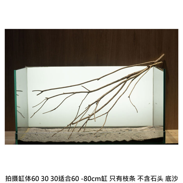 鱼缸造景树枝溪流原生沉木枝条鹿角枝鱼缸造景木南美缸造景60cm缸 L853【图片 价格 品牌 报价】-京东
