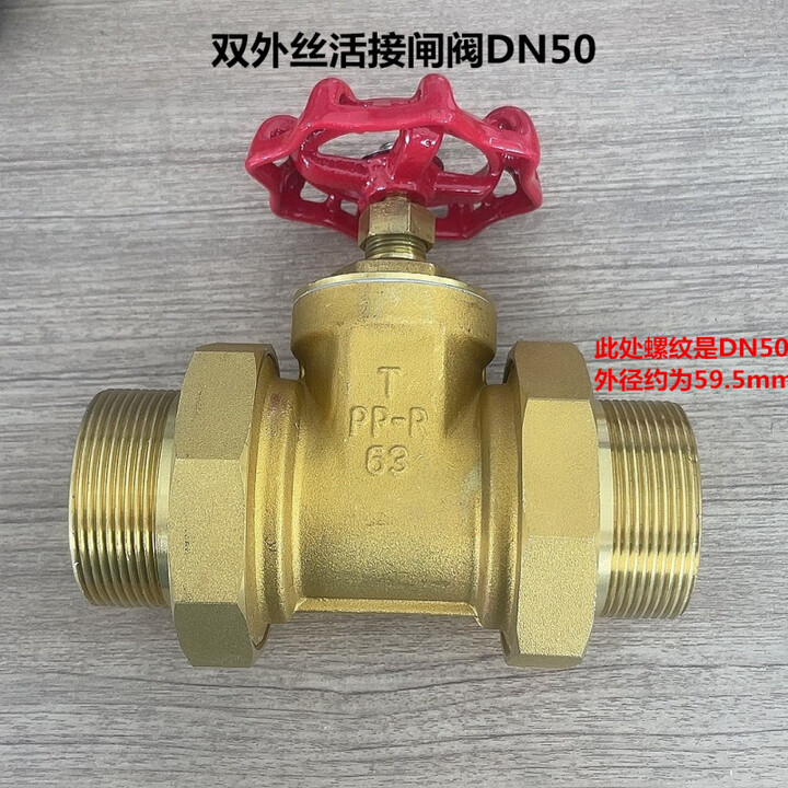 志界全铜玉环PPR活接闸阀PE升降式4分20管6分闸门表前闸阀门热熔闸阀 DN50 2寸双外丝【图片 价格 品牌 报价】-京东