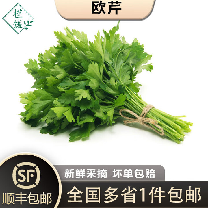 槿馐新鲜意大利芹1-5斤 欧芹香芹法国香菜 巴西里香料 新鲜欧芹500g【图片 价格 品牌 报价】-京东