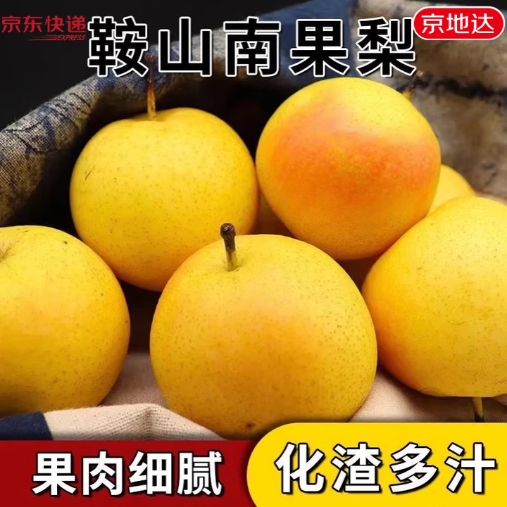 【京地达梨】京地达鞍山南果梨 东北特产南国梨 净重5斤30枚左右 源头直发包【行情 报价 价格 评测】-京东