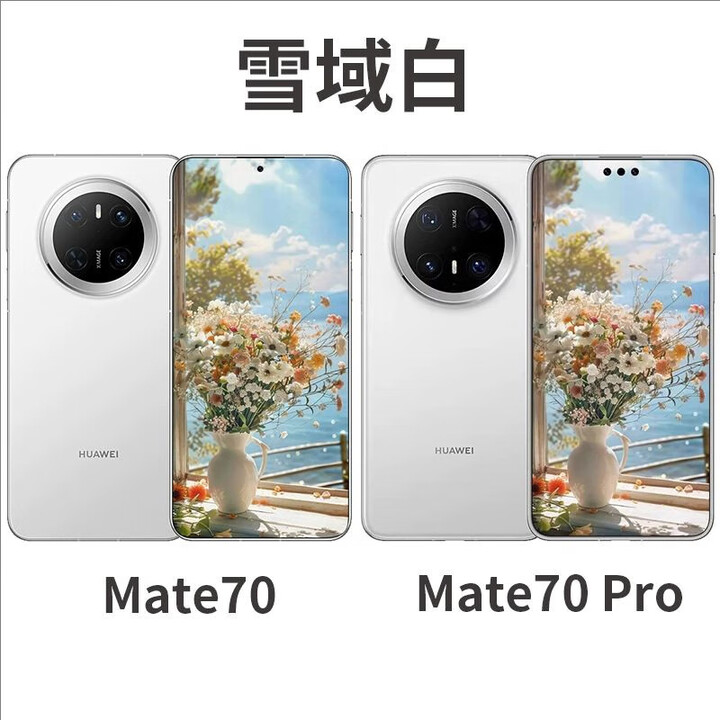 华为/华为 Mate 70鸿蒙AI红枫原色影像玄武架构5G手机mate70Pro 雪域白 12GB+512GB_M70+原装充电器