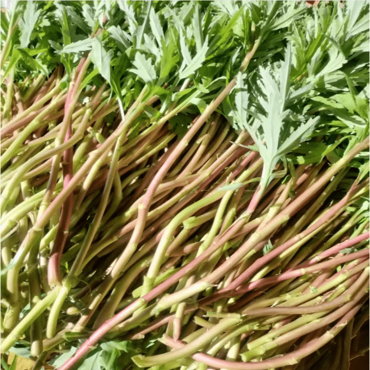 正宗野生藜蒿当季芦蒿新鲜黎蒿现摘蔬菜野菜藜蒿鲜嫩泥蒿蓠蒿时令 新鲜黎蒿 顺丰快递 1000g 新鲜黎蒿【图片 价格 品牌 报价】-京东
