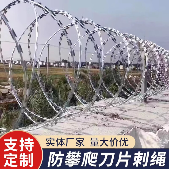 速誉 SIORLYURE刀片刺绳刺丝滚笼小区学校防盗防爬刺机场围栏监狱围墙 双螺旋圈径30公分/覆盖10米/卷【图片 价格 品牌 报价】-京东