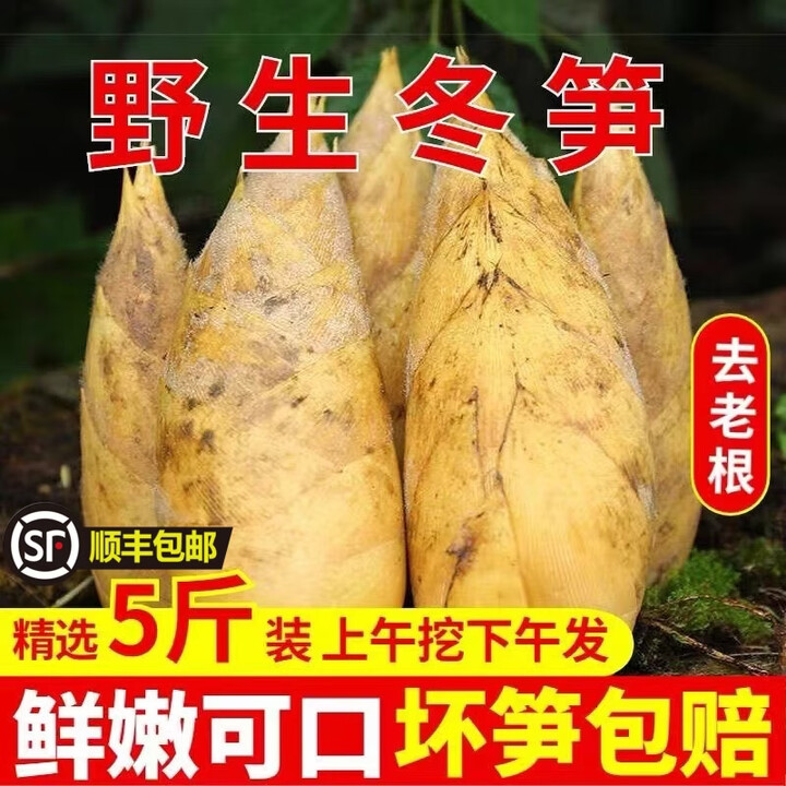 正宗湖南资兴冬笋 5斤新鲜现挖野生毛竹笋农家野生新鲜竹笋新鲜笋 4-6两 单个 5斤新鲜笋【图片 价格 品牌 报价】-京东