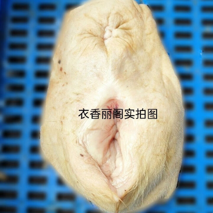 农家散养现宰黄牛新鲜整套母牛子宫生殖器官牛欢喜进补炖汤食材 1
