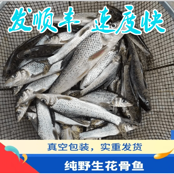 够印正宗花骨鱼新鲜激浪鱼花姑娘土凤鱼水域现捕现杀 一斤装(一斤1-5条)【图片 价格 品牌 报价】-京东