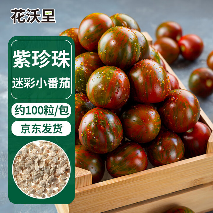 花沃里紫珍珠迷彩小番茄100粒 蔬菜种子圣女果小西红柿盆栽阳...