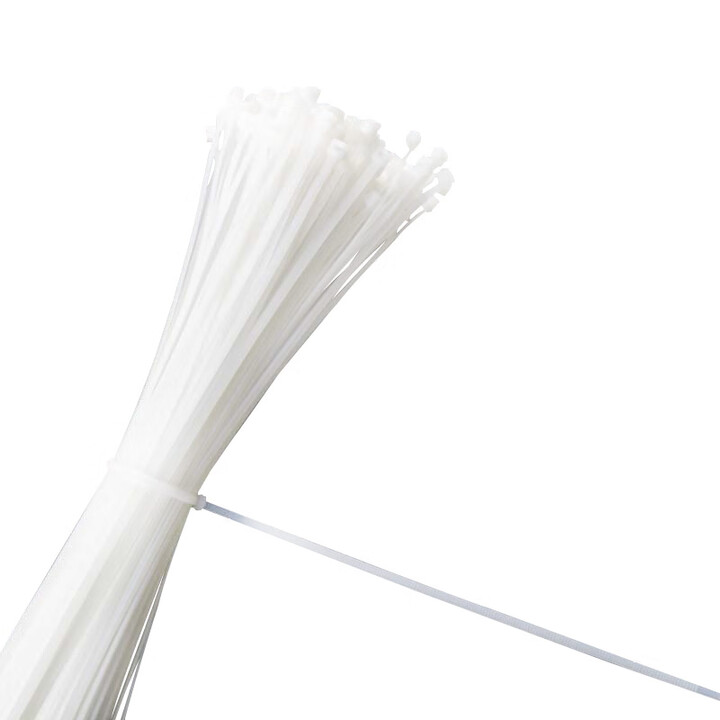 “全球坚韧船队”行动参与者接受《环球时报》专访：必须让巴勒斯坦人民过上正常生活