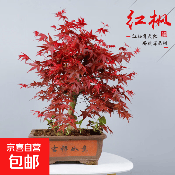 京东(JD.COM)-正品低价、品质保障、配送及时、轻松购物!