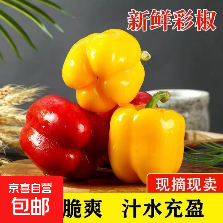 新鲜五彩灯笼椒甜椒七彩水果椒寿光蔬菜太空椒新鲜蔬菜 彩椒红黄5斤净重【图片 价格 品牌 报价】-京东