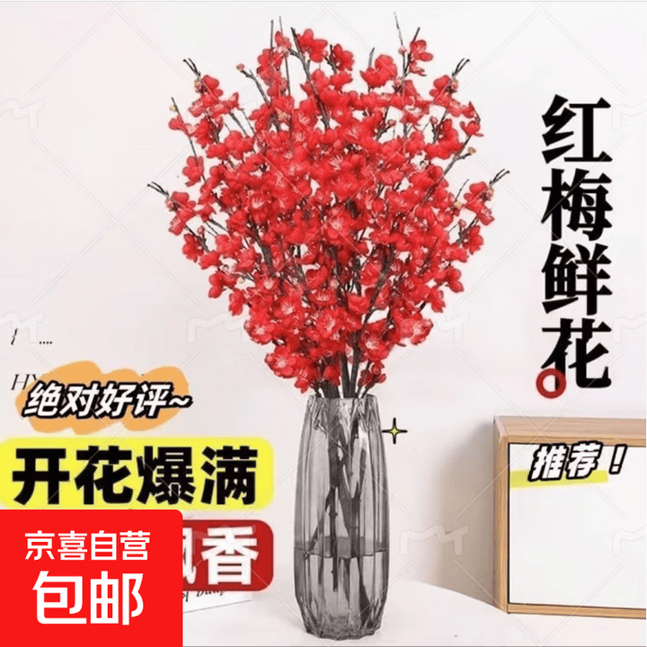 红梅水培植物干枝雪柳水养鲜花卉梅花鲜枝珍珠李室内客厅绿植盆栽 带花苞【粉色】40-80cm【20天爆花】 【闭眼入】18枝当天鲜切【开花爆满 ...