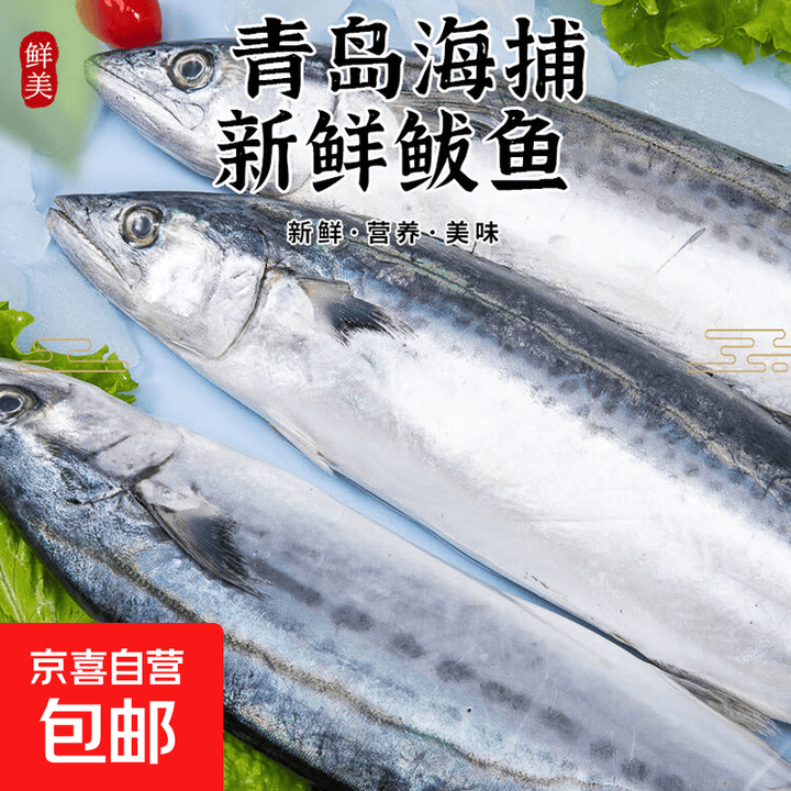 新鲜捕捞青岛大鲅鱼蓝点马鲛鱼渤海燕尾鲐鲅鱼净重无冰衣 5斤【8条装】【图片 价格 品牌 报价】-京东