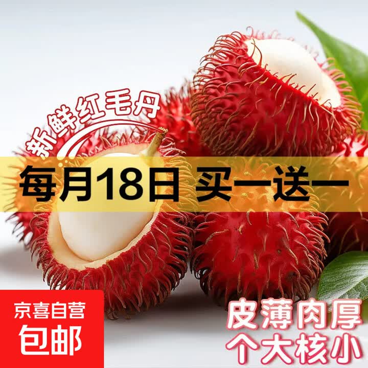红毛丹 新鲜采摘当季毛荔枝毛丹果孕妇热带水果 老树大果 1斤装【图片 价格 品牌 报价】-京东