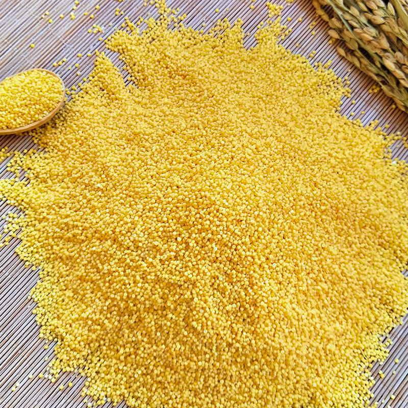 天地粮人 东北黄金苗 小米1kg_杂粮_粮油调味_食品饮料_京东