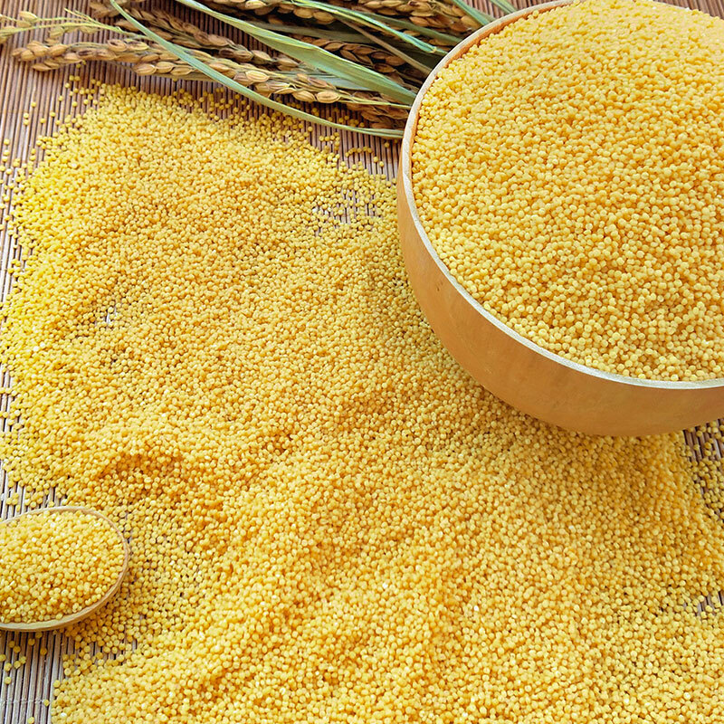 天地粮人 东北黄金苗 小米1kg_杂粮_粮油调味_食品饮料_京东