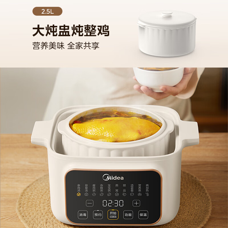 美的（Midea）电炖锅 电炖盅 煲汤炖汤锅 蒸锅电蒸锅 隔水炖锅婴儿辅食煮粥锅 燕窝炖盅 MD-DZC2501 2.5L