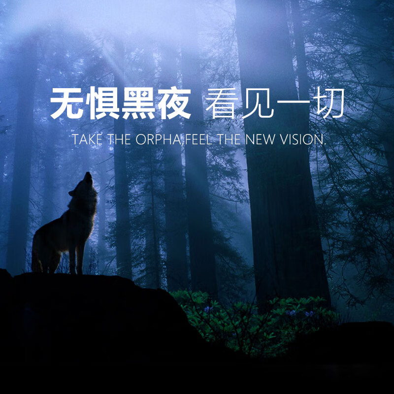 奥尔法（ORPHA）单筒数码微光红外夜视仪安防高清视频输出拍录像GPS定位 CS-8+