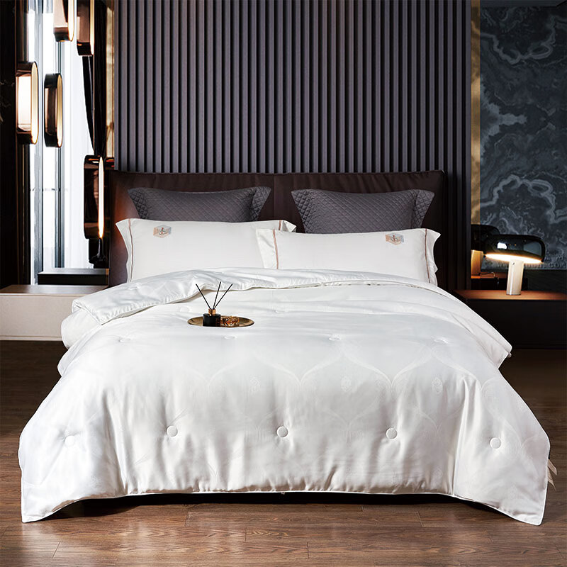 艾逸瑶选艾丽卡蚕丝蛋白春秋被JF-24132