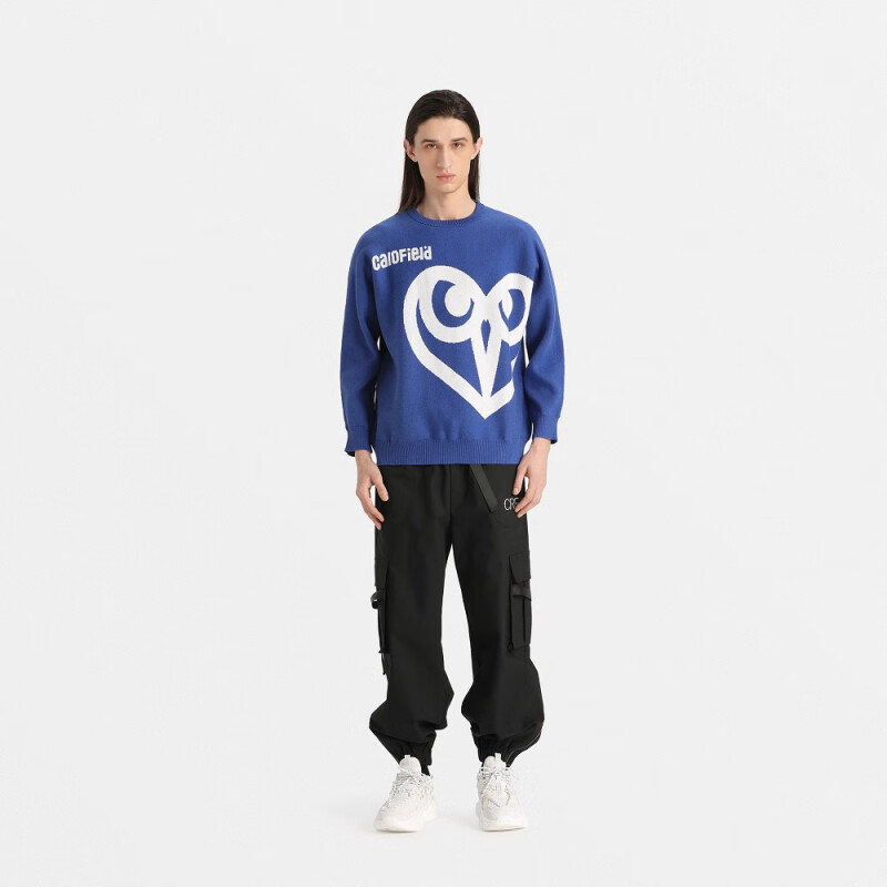 Men's Sweater CF120026