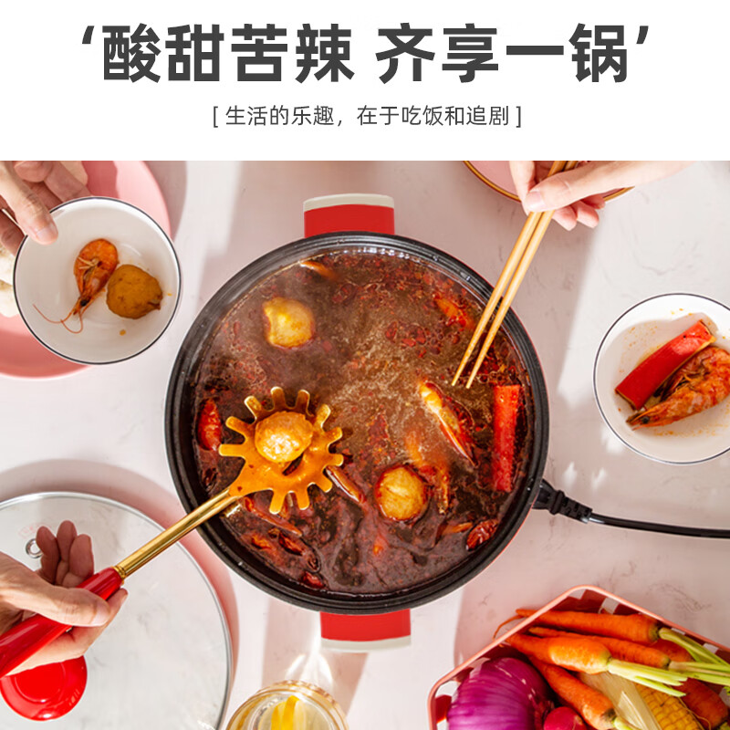 艾逸瑶选 TMS-R30B 故乡味道多功能电煮锅电火锅3L 红色