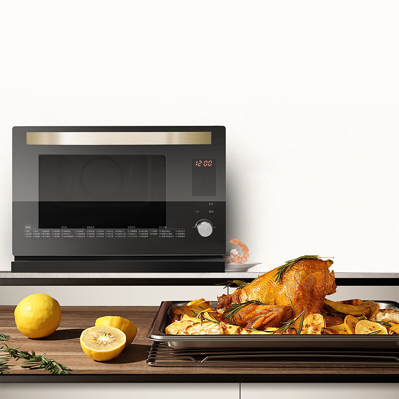 格兰仕（Galanz）纯蒸 纯烤 蒸烤一体机 无极旋钮操作简单 26L大容量 不锈钢内胆 DG26T-D20