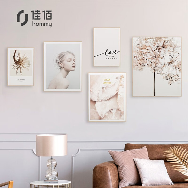 Jiabai environmental protection decorative painting 5-piece set of modern simple Mo Wen flower light luxury romantic bedroom living room dining room mural