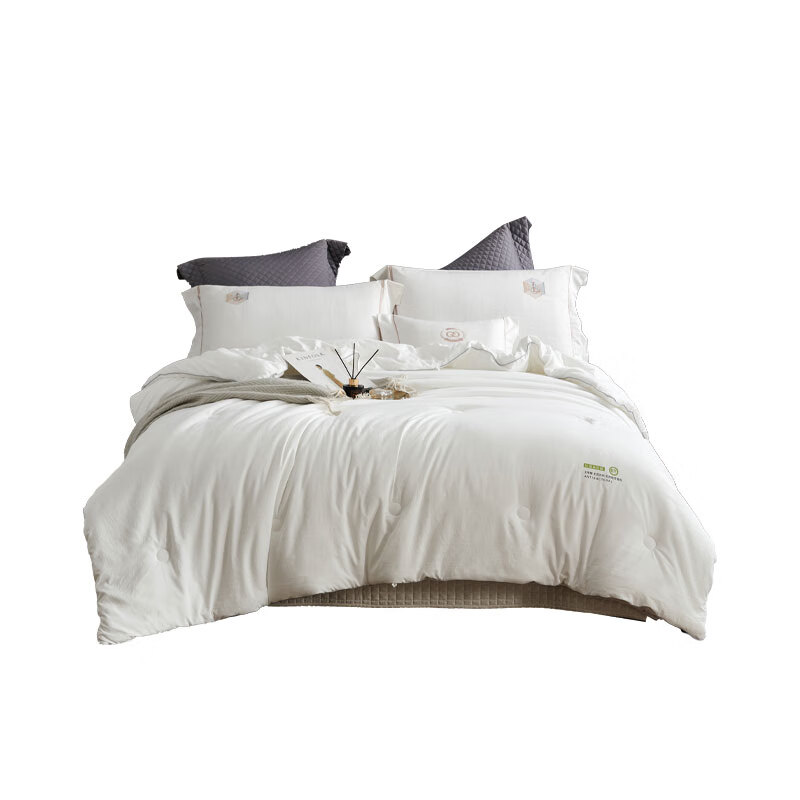 艾逸瑶选 卡莉娜抗菌亲肤四季被JF-24134