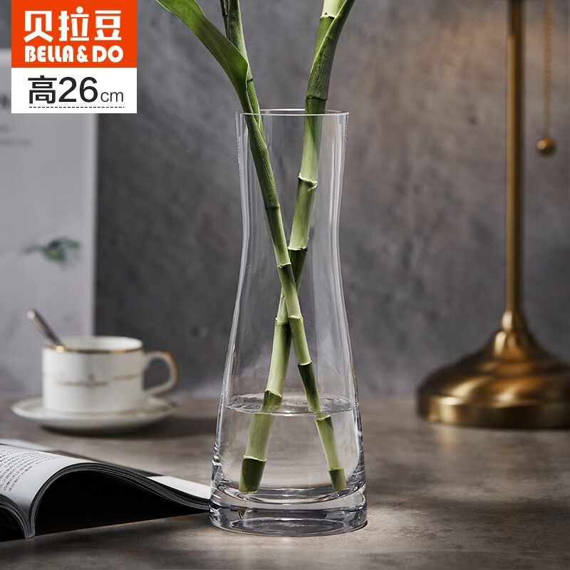Beira bean Nordic glass vase Fugui bamboo Lily hydroponic planter dry flower simulation flower arrangement ornament hxyg06
