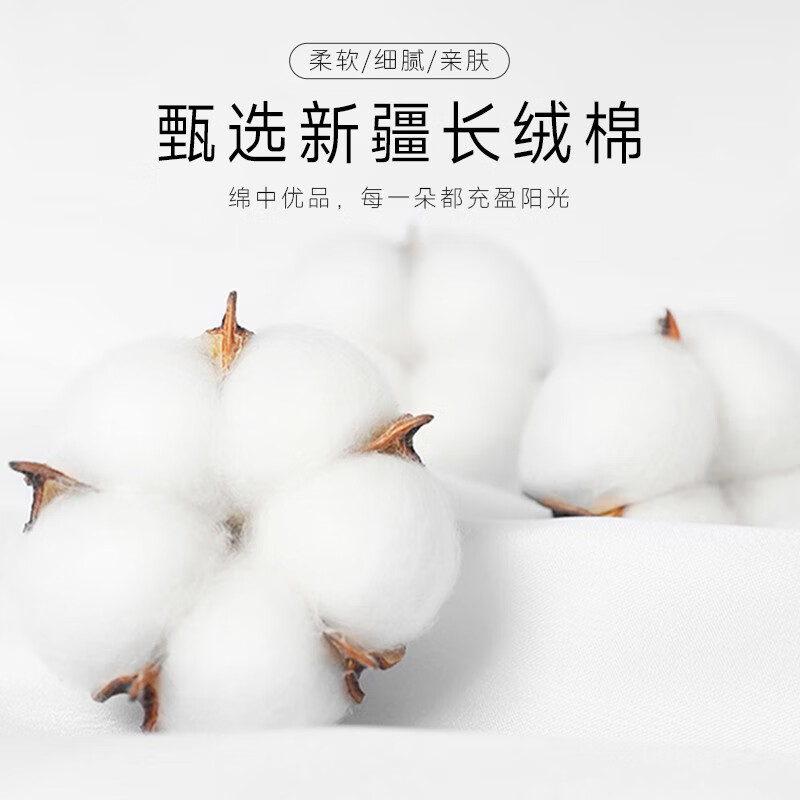 TUORen驼人康君女士内裤高腰收腹提臀纯色棉抗菌透气无痕女士内裤两条装 烟紫色 XL