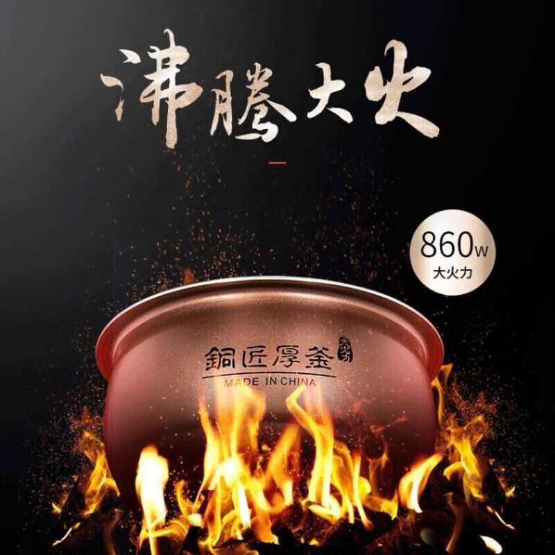 九阳 (Joyoung)电饭煲 F40FY-F311 拉丝纹理界面铜匠厚釜内胆金属拉丝机身4L大容量多功能家用