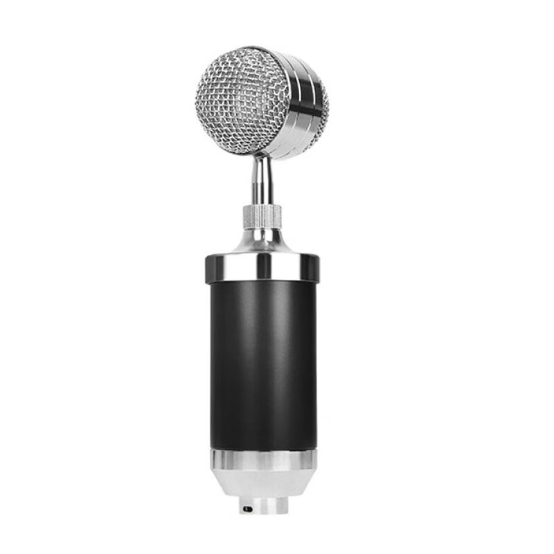 Asshole bug hifier small bottle condenser microphone black professional recording microphone anchor equipment sound mellow and transparent small bottle condenser microphone