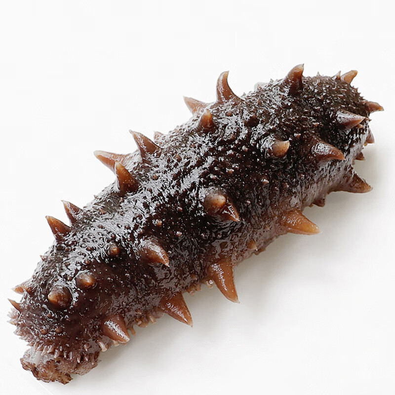 塞翁福 大连即食海参7只装 固形物75%以上 即食辽刺参 即食海参318g