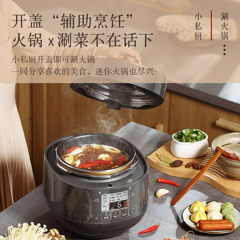 松下（Panasonic）2L电压力锅 迷你电压力锅 高压锅 电压锅 电饭锅 24小时预约 可拆洗内外盖 SR-PB201-H