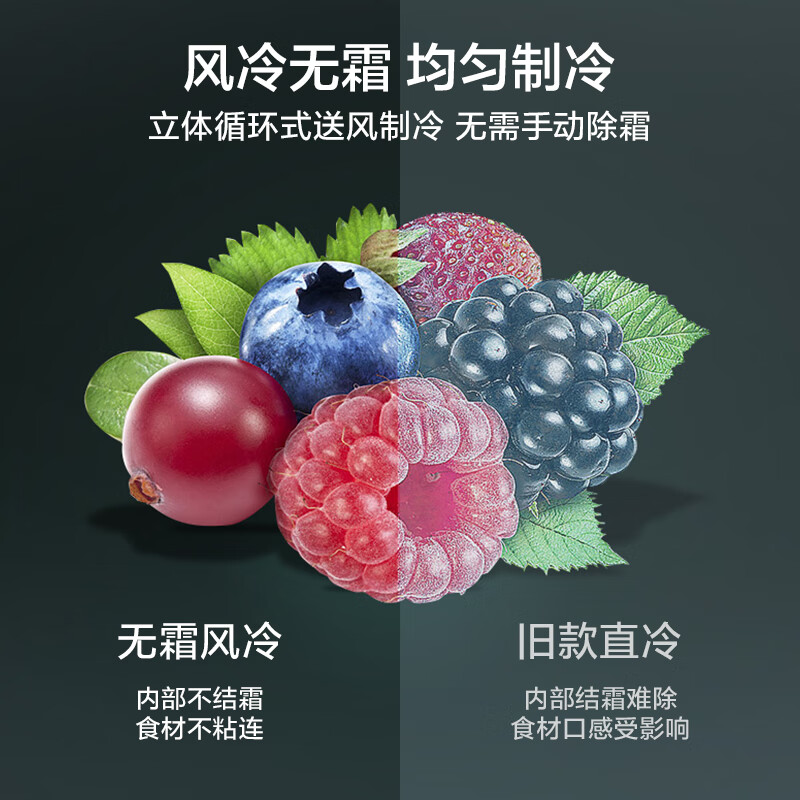 美的（Midea）237升变频三门家用冰箱风冷无霜小冰箱BCD-237WTGPM(E)节能低噪