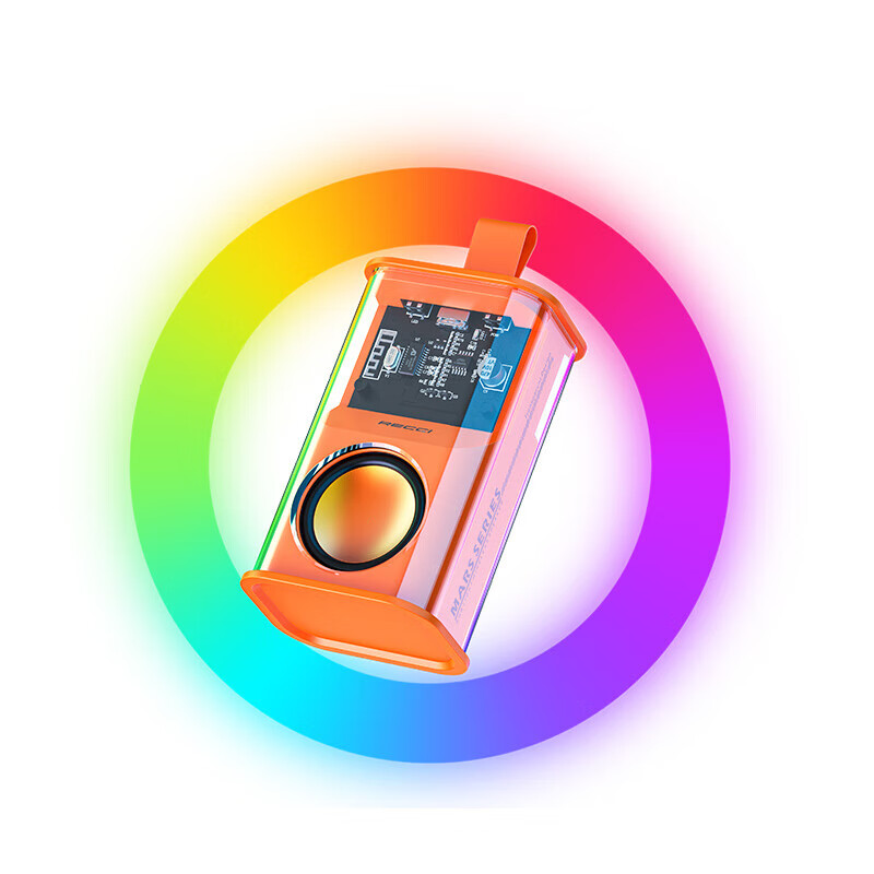 RECCI锐思（Recci）RSK-W30便携音箱RGB多彩绚酷灯光户外HIFi音质5.3蓝牙通用 朋克黑
