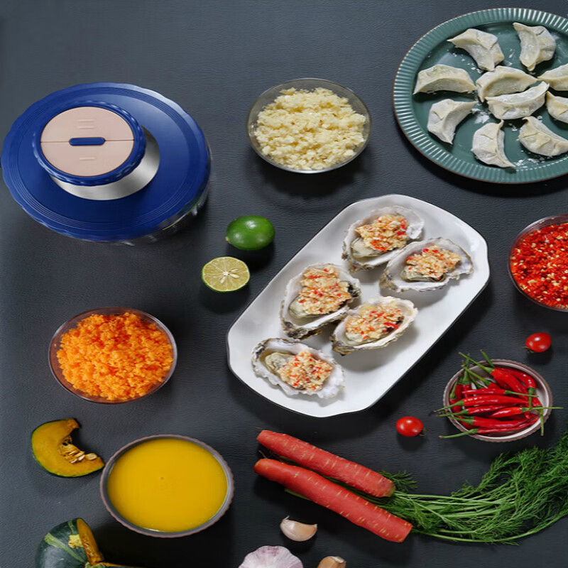 morosphy richerods绞肉机 家用绞馅机 碎肉机 电动多功能辅食料理机打蒜搅拌 不锈钢 第三代 MF-2148