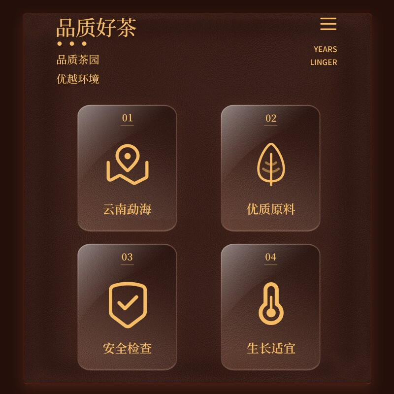 岁月留香 博茗雅韵勐海高山生普洱饼自饮陈香醇厚357g简易装