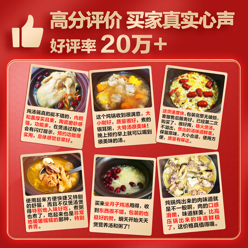 美的（Midea）电炖锅 电炖盅 煲汤锅炖汤锅 电砂锅 煮粥锅 5升 紫砂煲汤电炖锅家用智能预约DG50Easy201