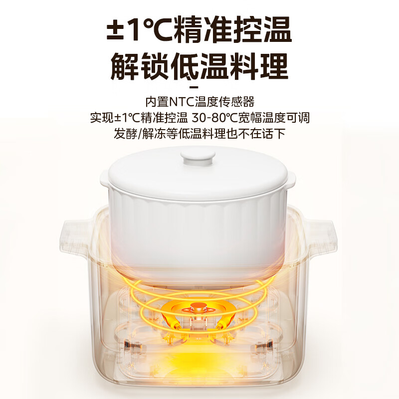 美的（Midea）电炖锅 电炖盅 煲汤炖汤锅 蒸锅电蒸锅 隔水炖锅婴儿辅食煮粥锅 燕窝炖盅 MD-DZC2502 2.5L