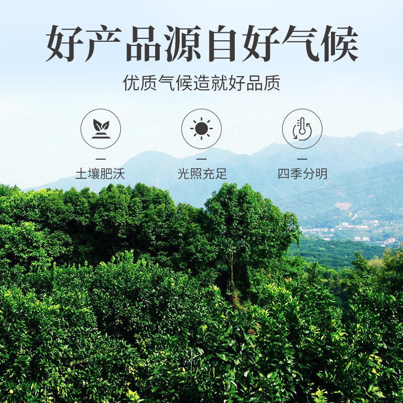 方家铺子中华老字号 冻干柠檬片 大片纯柠檬片冻干锁鲜独立包装 58g*1盒