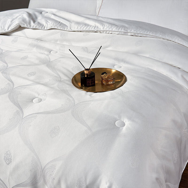 艾逸瑶选艾丽卡蚕丝蛋白四季被JF-24138