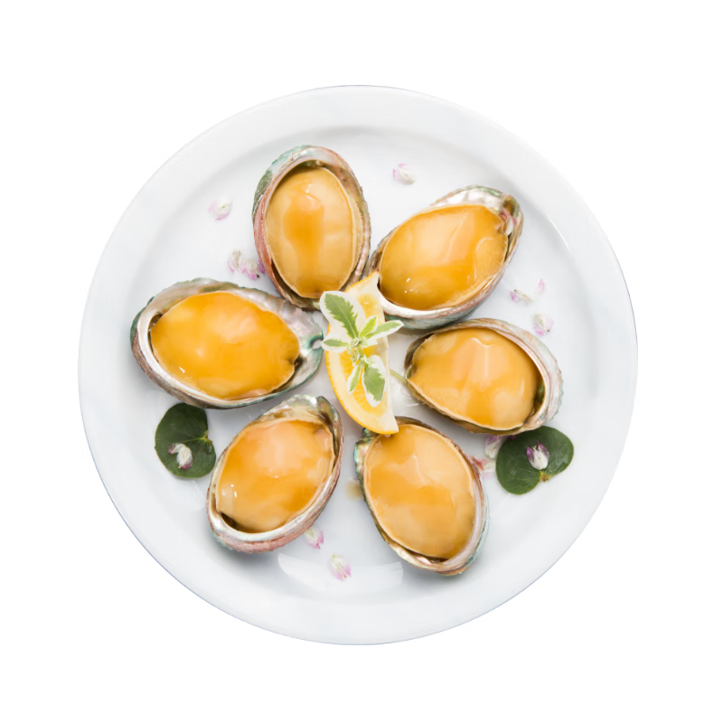 獐子岛 冷冻鲍鱼(大号)320g 6粒/盒 去脏去膜 蒜蓉料包 火锅煲汤 海鲜