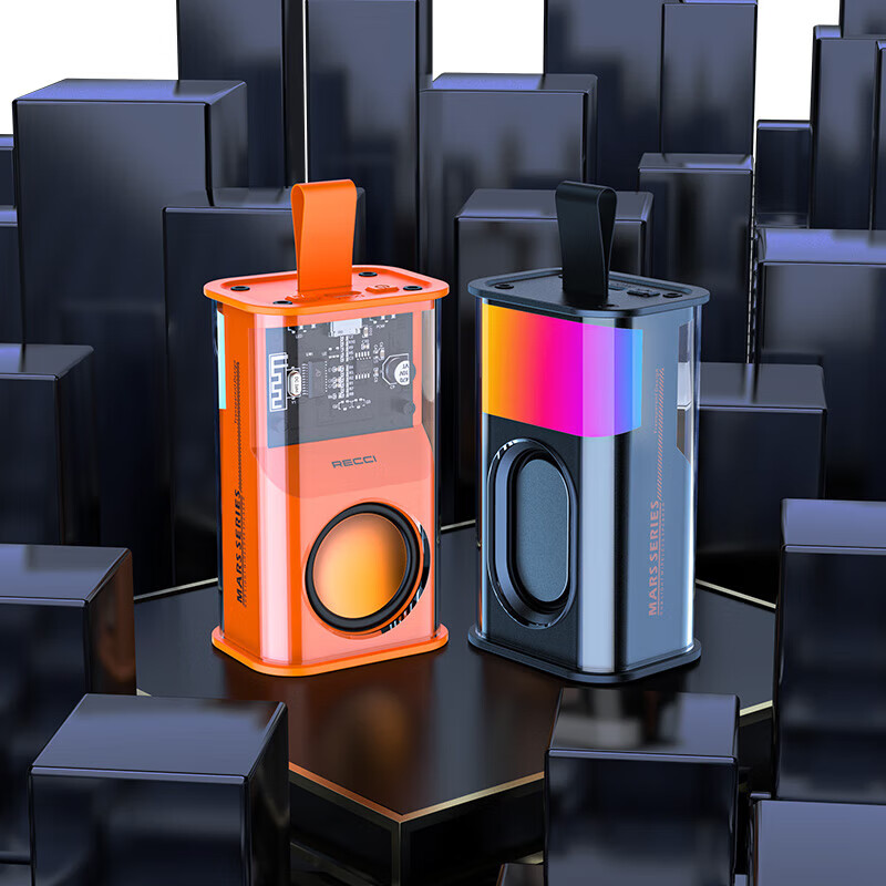 RECCI锐思（Recci）RSK-W30便携音箱RGB多彩绚酷灯光户外HIFi音质5.3蓝牙通用 朋克黑