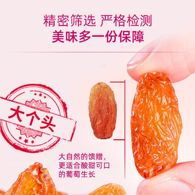 疆果果玫瑰香葡萄干新疆蜜饯果干休闲零食独立包装 120g2袋240g