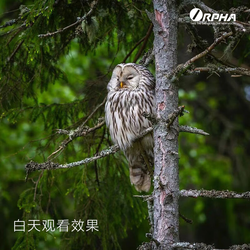 奥尔法（ORPHA）高清数码双筒夜视仪日夜两用拍照录像巡视GPS定位支持WIFI V400