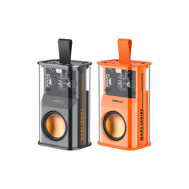 RECCI锐思（Recci）RSK-W30便携音箱RGB多彩绚酷灯光户外HIFi音质5.3蓝牙通用 朋克黑